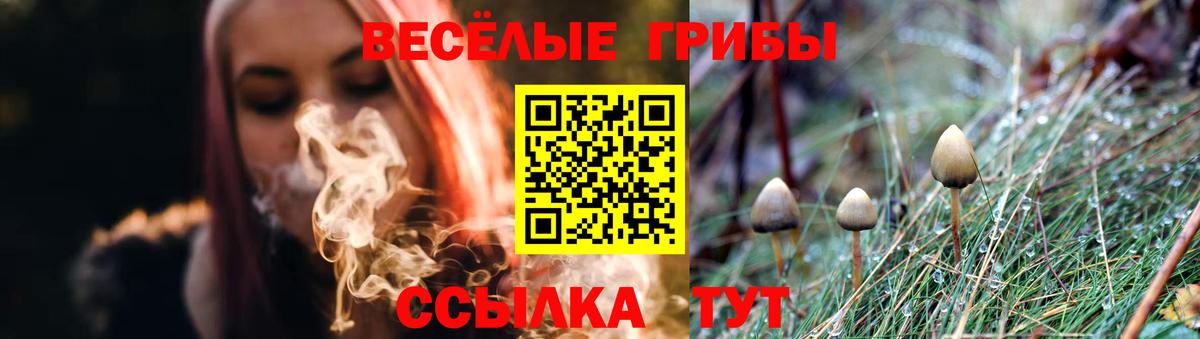 Лениногорск  Галлюциногенные грибы прущие грибы  наркота  Вход с VPN  Галлюциногенные грибы Cubensis 